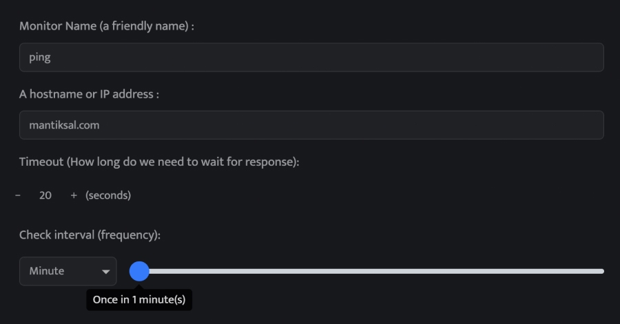 why should you use a ping monitoring service