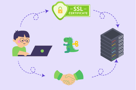 what is ssl monitoring
